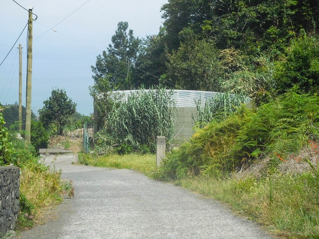 22.08.2017 Poco das Pulgas, Os Arredados und die Miradouros an der Nordküste — Zurück auf dem Caminho da Camisa zur Parque de Merendas na Lombada da Ponta Delgada — Foto 2