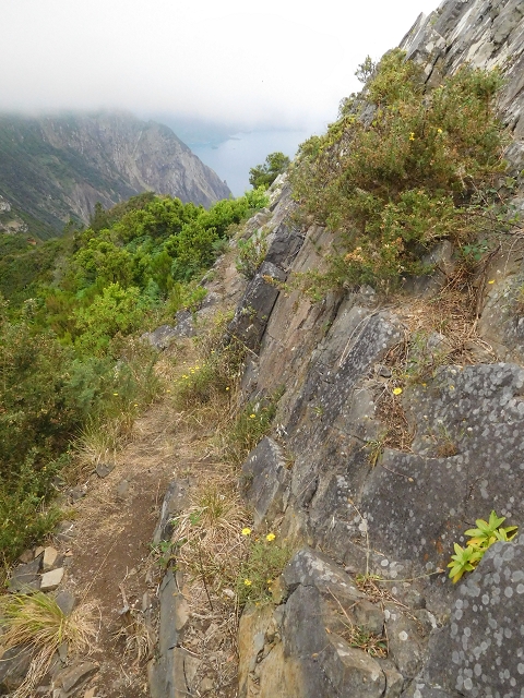 23 June 2016 Canical - Boca do Risco — From the ridge to the Boca do Risco — photo 1