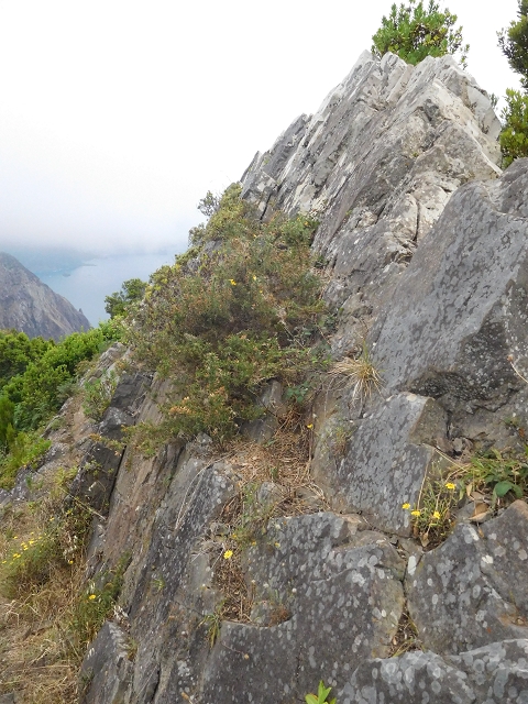 23 June 2016 Canical - Boca do Risco — From the ridge to the Boca do Risco — photo 2
