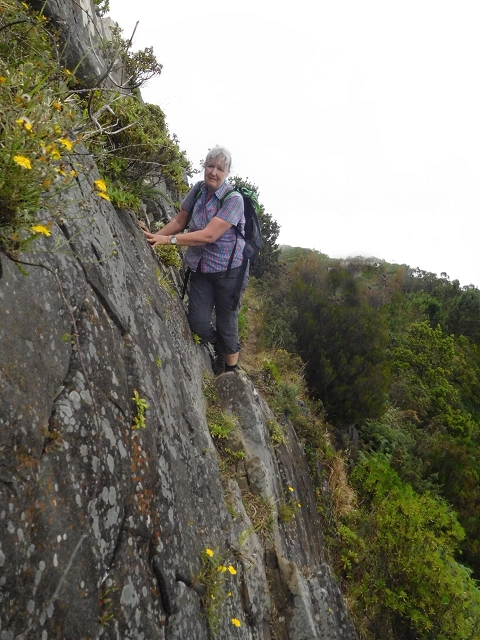 23 June 2016 Canical - Boca do Risco — From the ridge to the Boca do Risco — photo 3
