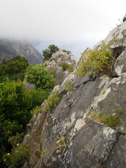23 June 2016 Canical - Boca do Risco — From the ridge to the Boca do Risco — photo 4