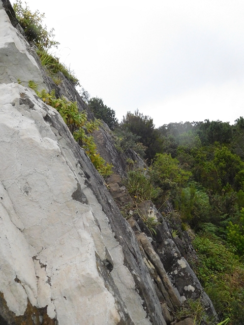 23 June 2016 Canical - Boca do Risco — From the ridge to the Boca do Risco — photo 5