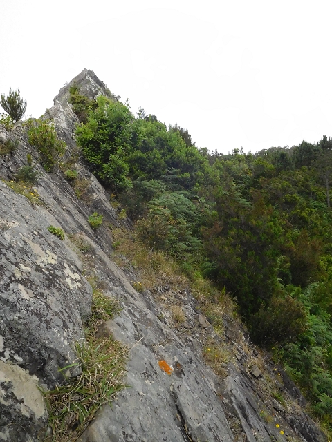 23 June 2016 Canical - Boca do Risco — From the ridge to the Boca do Risco — photo 7