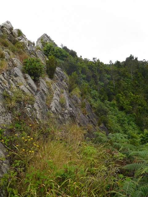 23 June 2016 Canical - Boca do Risco — From the ridge to the Boca do Risco — photo 8