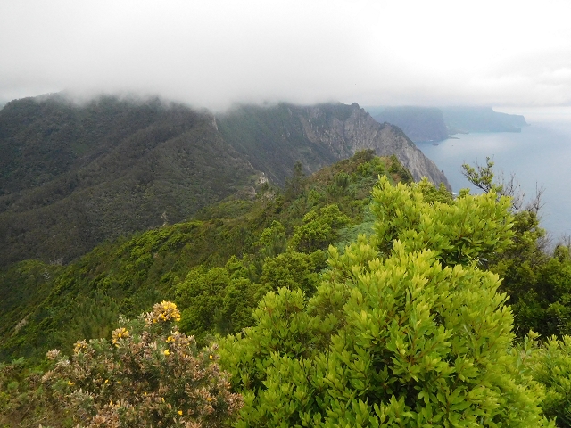 23 June 2016 Canical - Boca do Risco — From the ridge to the Boca do Risco — photo 9
