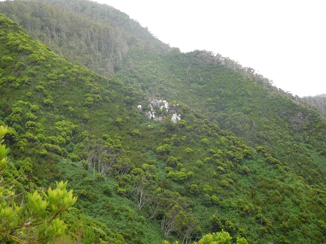 23 June 2016 Canical - Boca do Risco — From the ridge to the Boca do Risco — photo 10