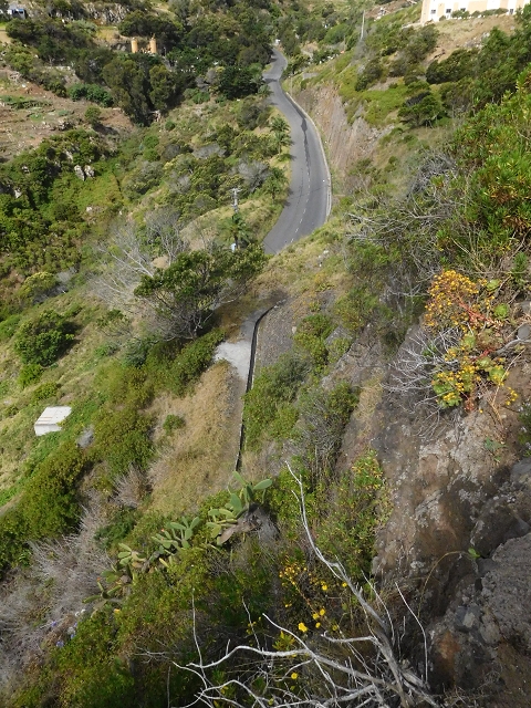 23 June 2016 Canical - Boca do Risco — On the Levada do Canical as far as the end — photo 11