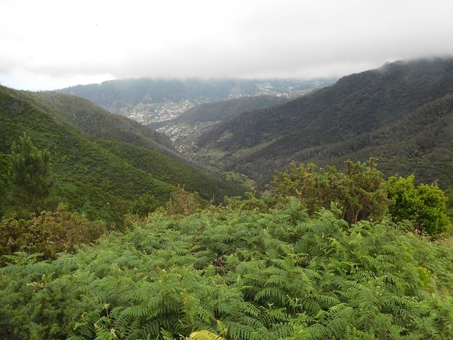 23 June 2016 Canical - Boca do Risco — From the ridge to the Boca do Risco — photo 12