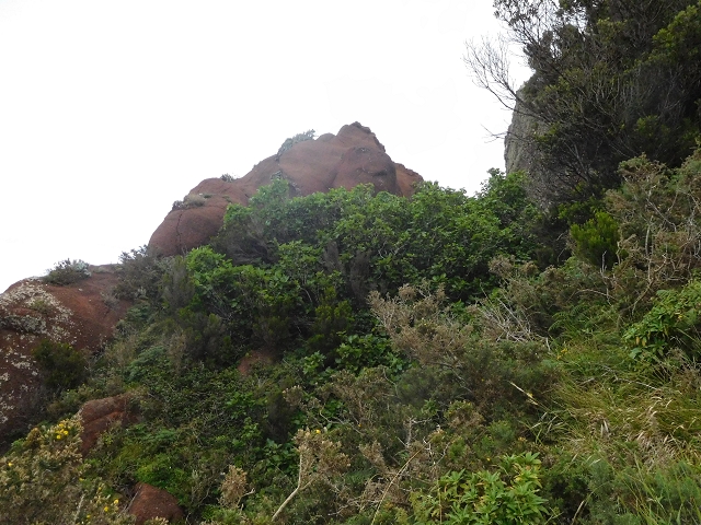 23 June 2016 Canical - Boca do Risco — From the ridge to the Boca do Risco — photo 19