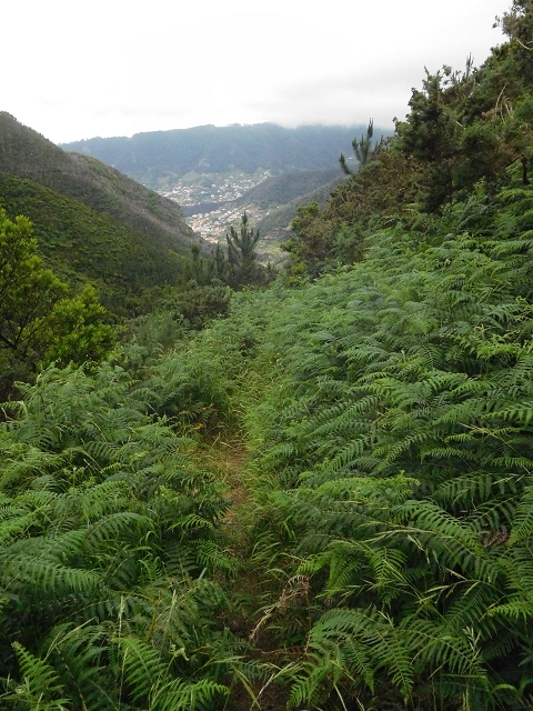 23 June 2016 Canical - Boca do Risco — From the ridge to the Boca do Risco — photo 20