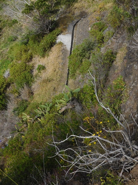 23 June 2016 Canical - Boca do Risco — On the Levada do Canical as far as the end — photo 12