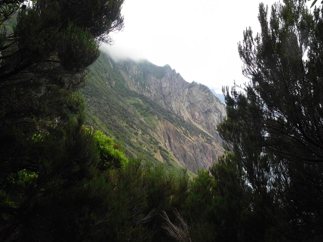 23 June 2016 Canical - Boca do Risco — On the north-coast path to Espigao Amarelo and back — photo 3