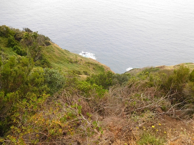 23 June 2016 Canical - Boca do Risco — On the north-coast path to Espigao Amarelo and back — photo 6