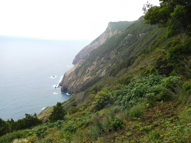 23 June 2016 Canical - Boca do Risco — On the north-coast path to Espigao Amarelo and back — photo 7