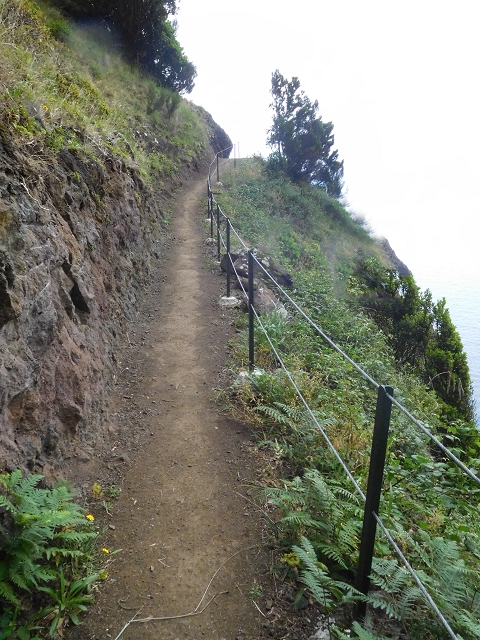 23 June 2016 Canical - Boca do Risco — On the north-coast path to Espigao Amarelo and back — photo 14