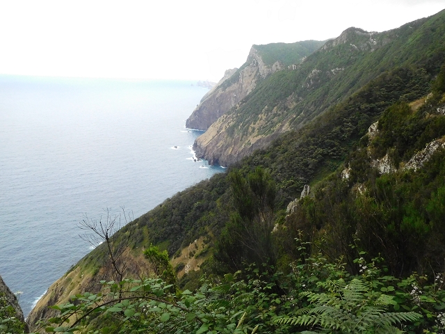 23 June 2016 Canical - Boca do Risco — On the north-coast path to Espigao Amarelo and back — photo 15