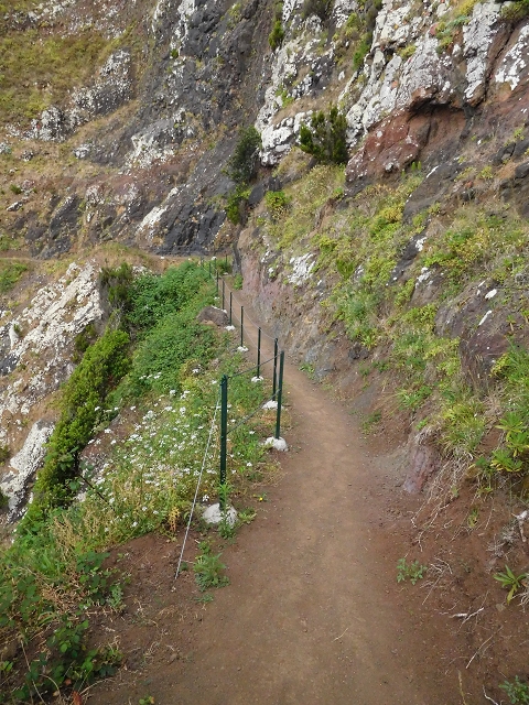 23 June 2016 Canical - Boca do Risco — On the north-coast path to Espigao Amarelo and back — photo 16