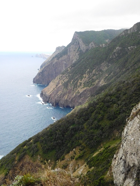 23 June 2016 Canical - Boca do Risco — On the north-coast path to Espigao Amarelo and back — photo 18