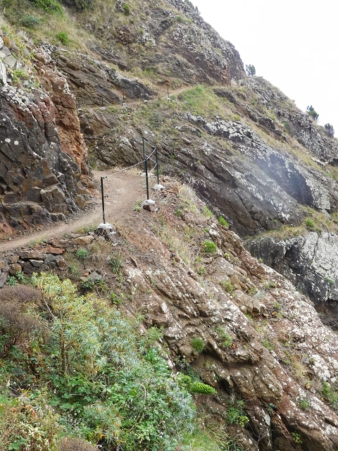 23 June 2016 Canical - Boca do Risco — On the north-coast path to Espigao Amarelo and back — photo 19