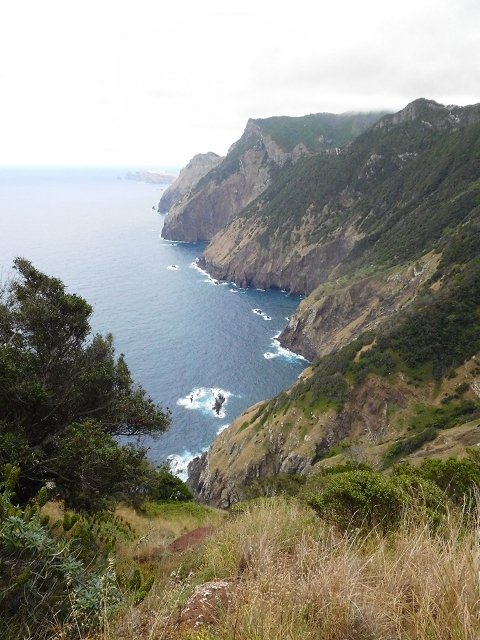 23 June 2016 Canical - Boca do Risco — On the north-coast path to Espigao Amarelo and back — photo 22