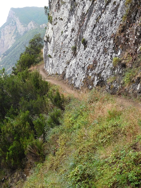 23 June 2016 Canical - Boca do Risco — On the north-coast path to Espigao Amarelo and back — photo 28