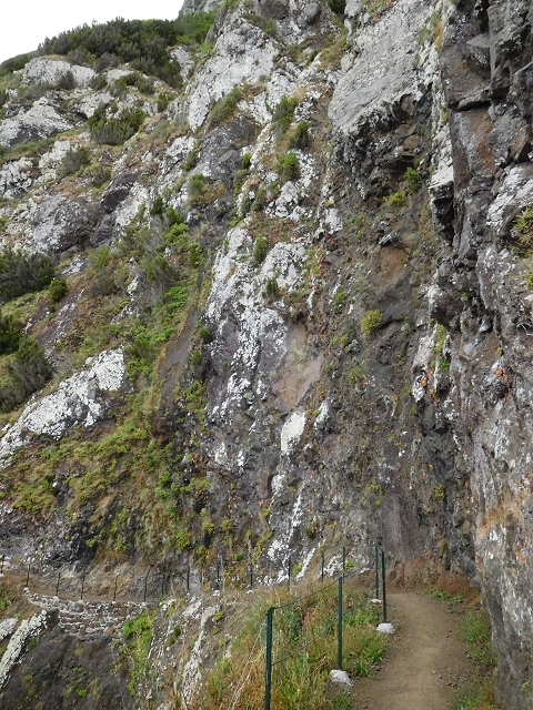 23 June 2016 Canical - Boca do Risco — On the north-coast path to Espigao Amarelo and back — photo 30