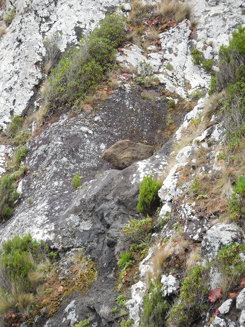 23 June 2016 Canical - Boca do Risco — On the north-coast path to Espigao Amarelo and back — photo 31