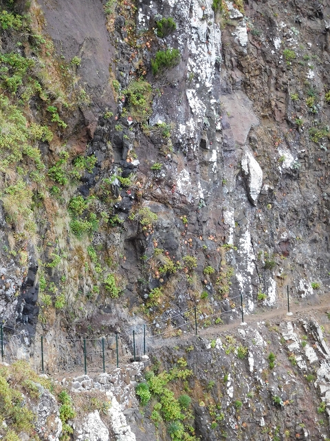 23 June 2016 Canical - Boca do Risco — On the north-coast path to Espigao Amarelo and back — photo 33