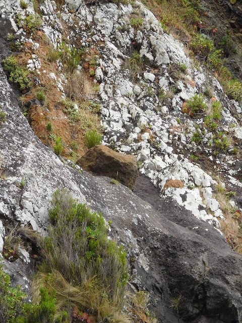 23 June 2016 Canical - Boca do Risco — On the north-coast path to Espigao Amarelo and back — photo 34