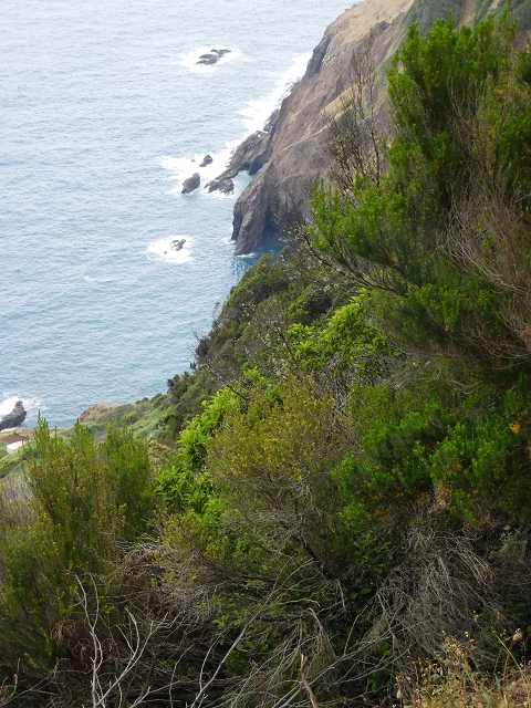 23 June 2016 Canical - Boca do Risco — On the north-coast path to Espigao Amarelo and back — photo 37