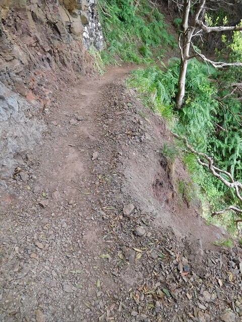 23 June 2016 Canical - Boca do Risco — On the north-coast path to Espigao Amarelo and back — photo 40