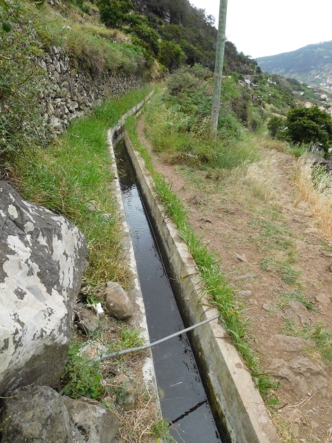 23 June 2016 Canical - Boca do Risco — Descent to the Levada do Canical and back to the Canical tunnel — photo 2