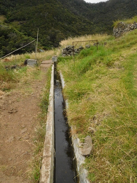23 June 2016 Canical - Boca do Risco — Descent to the Levada do Canical and back to the Canical tunnel — photo 3