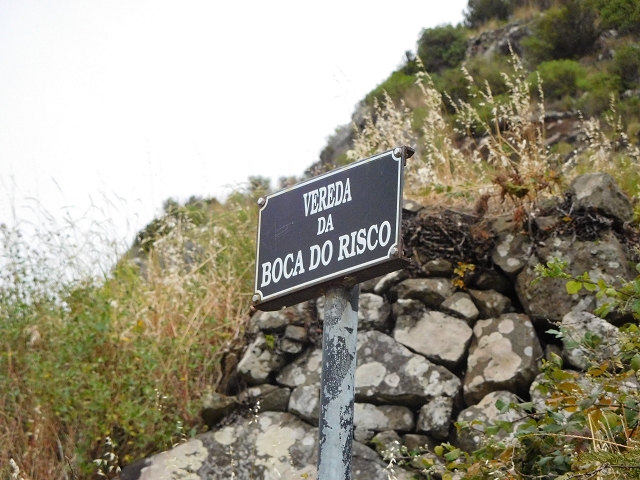 23 June 2016 Canical - Boca do Risco — Descent to the Levada do Canical and back to the Canical tunnel — photo 4