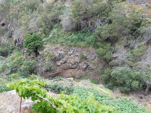 23 June 2016 Canical - Boca do Risco — Descent to the Levada do Canical and back to the Canical tunnel — photo 7