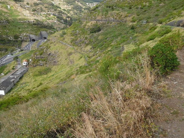 23 June 2016 Canical - Boca do Risco — On the Levada do Canical as far as the end — photo 18