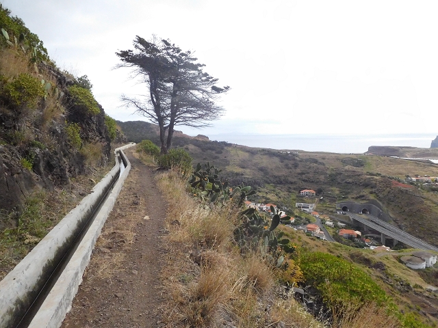23 June 2016 Canical - Boca do Risco — On the Levada do Canical as far as the end — photo 25
