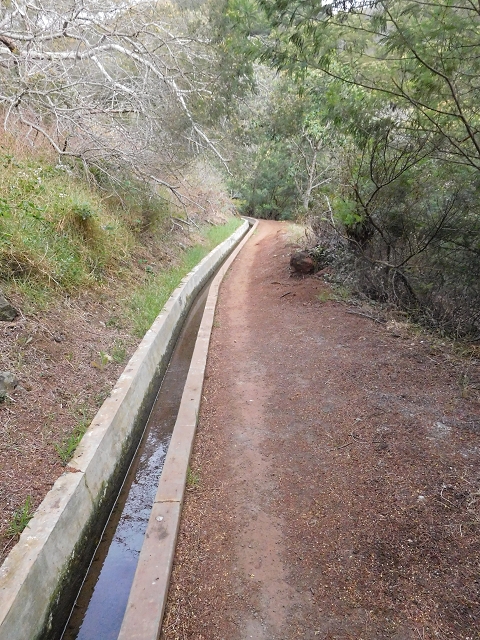 23 June 2016 Canical - Boca do Risco — On the Levada do Canical as far as the end — photo 26