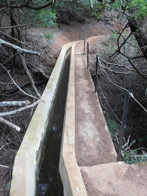23 June 2016 Canical - Boca do Risco — On the Levada do Canical as far as the end — photo 27