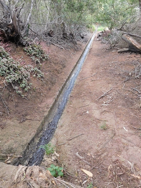 23 June 2016 Canical - Boca do Risco — On the Levada do Canical as far as the end — photo 31