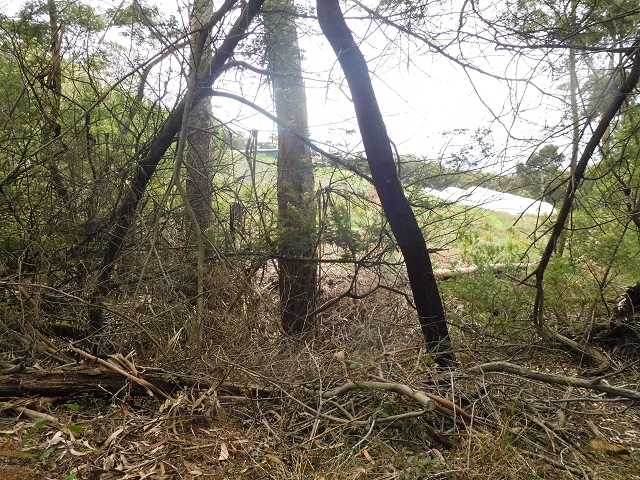 23 June 2016 Canical - Boca do Risco — On the Levada do Canical as far as the end — photo 32