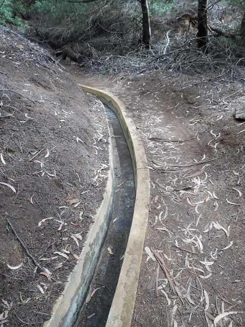 23 June 2016 Canical - Boca do Risco — On the Levada do Canical as far as the end — photo 33