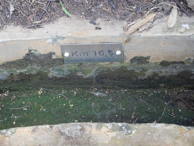 23 June 2016 Canical - Boca do Risco — On the Levada do Canical as far as the end — photo 34