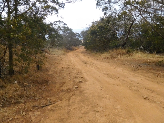 23 June 2016 Canical - Boca do Risco — On the cliff path as far as the Pico das Rocadas and on to the saddle — photo 1