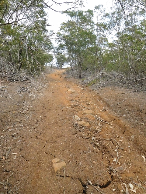 23 June 2016 Canical - Boca do Risco — On the cliff path as far as the Pico das Rocadas and on to the saddle — photo 3