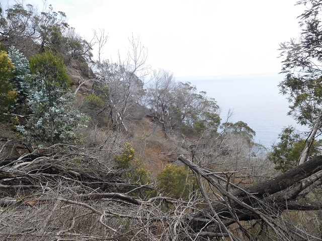 23 June 2016 Canical - Boca do Risco — On the cliff path as far as the Pico das Rocadas and on to the saddle — photo 4