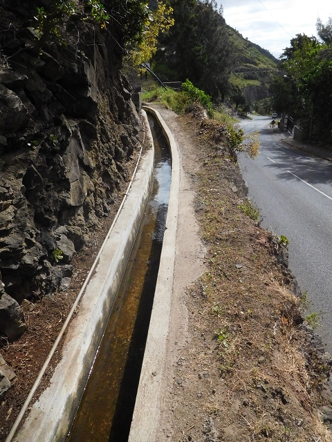 23 June 2016 Canical - Boca do Risco — On the Levada do Canical as far as the end — photo 4