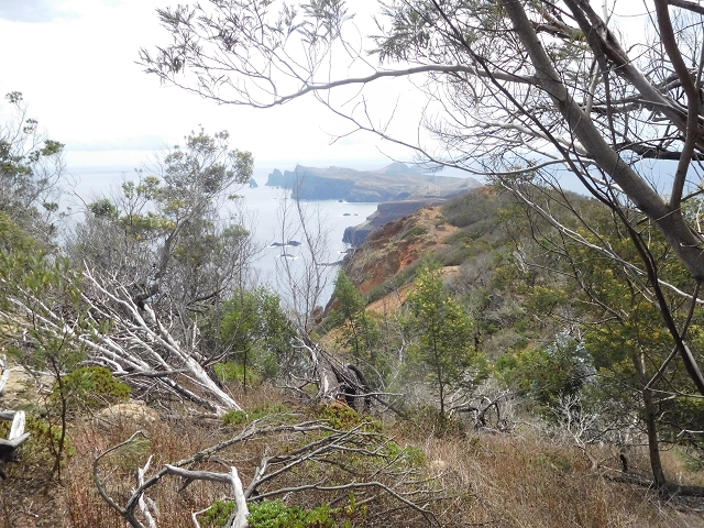 23 June 2016 Canical - Boca do Risco — On the cliff path as far as the Pico das Rocadas and on to the saddle — photo 5