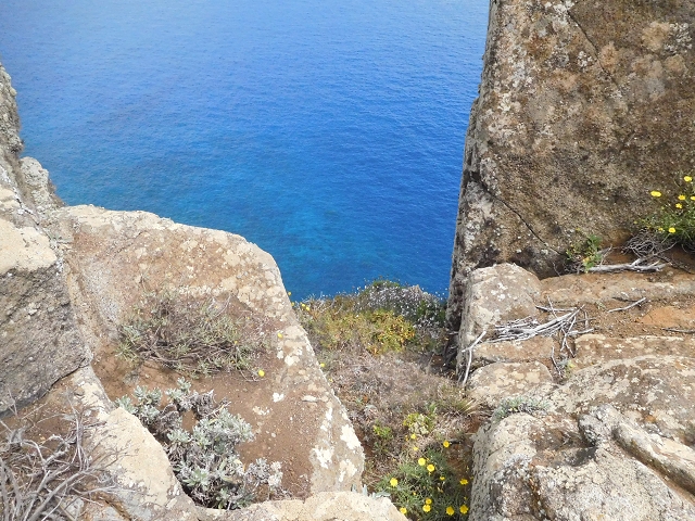 23 June 2016 Canical - Boca do Risco — On the cliff path as far as the Pico das Rocadas and on to the saddle — photo 6
