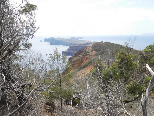 23 June 2016 Canical - Boca do Risco — On the cliff path as far as the Pico das Rocadas and on to the saddle — photo 8